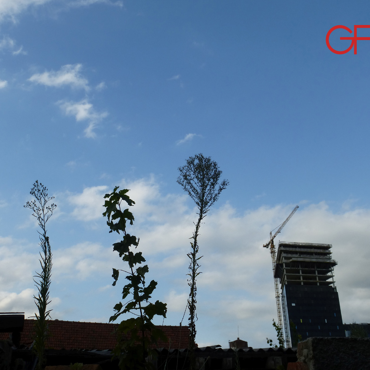 GF-TonkaMalekovic-pozivnica-1