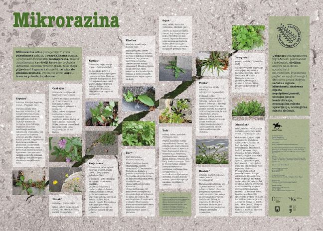 Primorska FINAL-mala